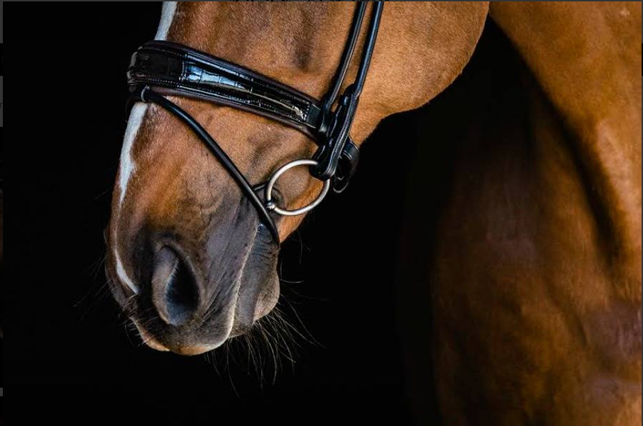 PS Noseband, All In