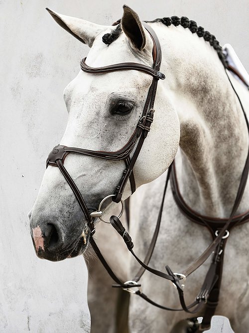 PS Limited Bridles - Athens