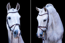 Load image into Gallery viewer, PS Bridles, HVE - Brown
