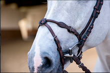 Load image into Gallery viewer, PS Bridles, HVE - Brown
