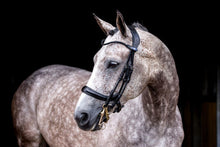 Load image into Gallery viewer, Bridles, Paragon
