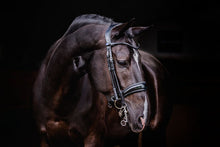 Load image into Gallery viewer, Bridles, Passage &amp; Passage Patent
