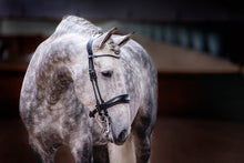 Load image into Gallery viewer, Bridles, Passage &amp; Passage Patent
