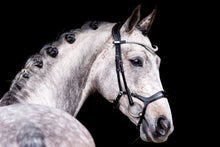 Load image into Gallery viewer, Bridles, Pioneer
