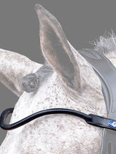 Load image into Gallery viewer, Browband, U-Shape, Rolled
