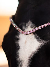 Load image into Gallery viewer, Browbands - Big Soft Lilac
