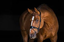 Load image into Gallery viewer, Nosebands, All In
